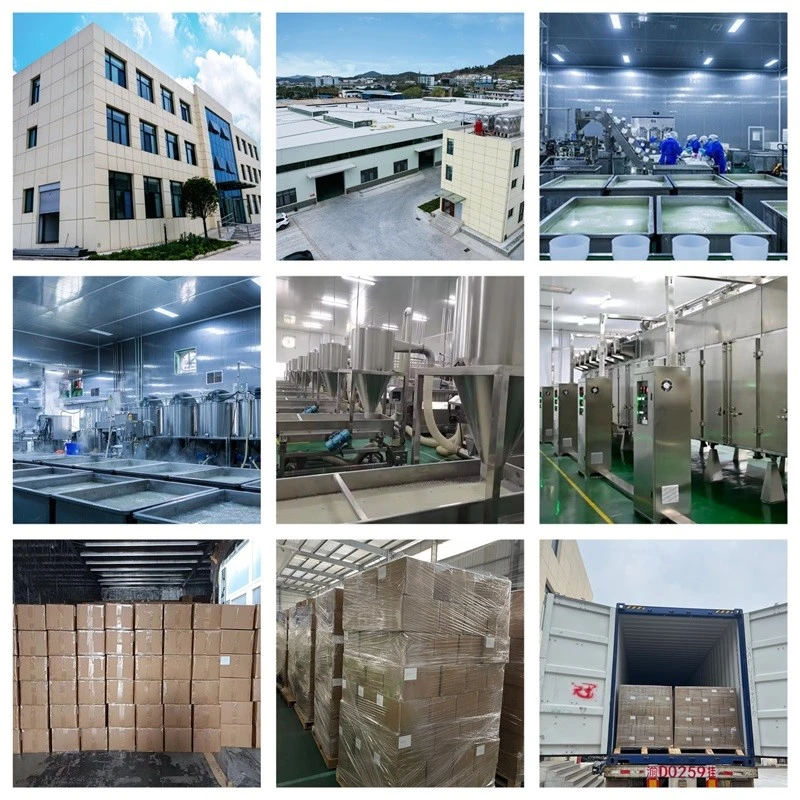 About Our Factory About Our Factory